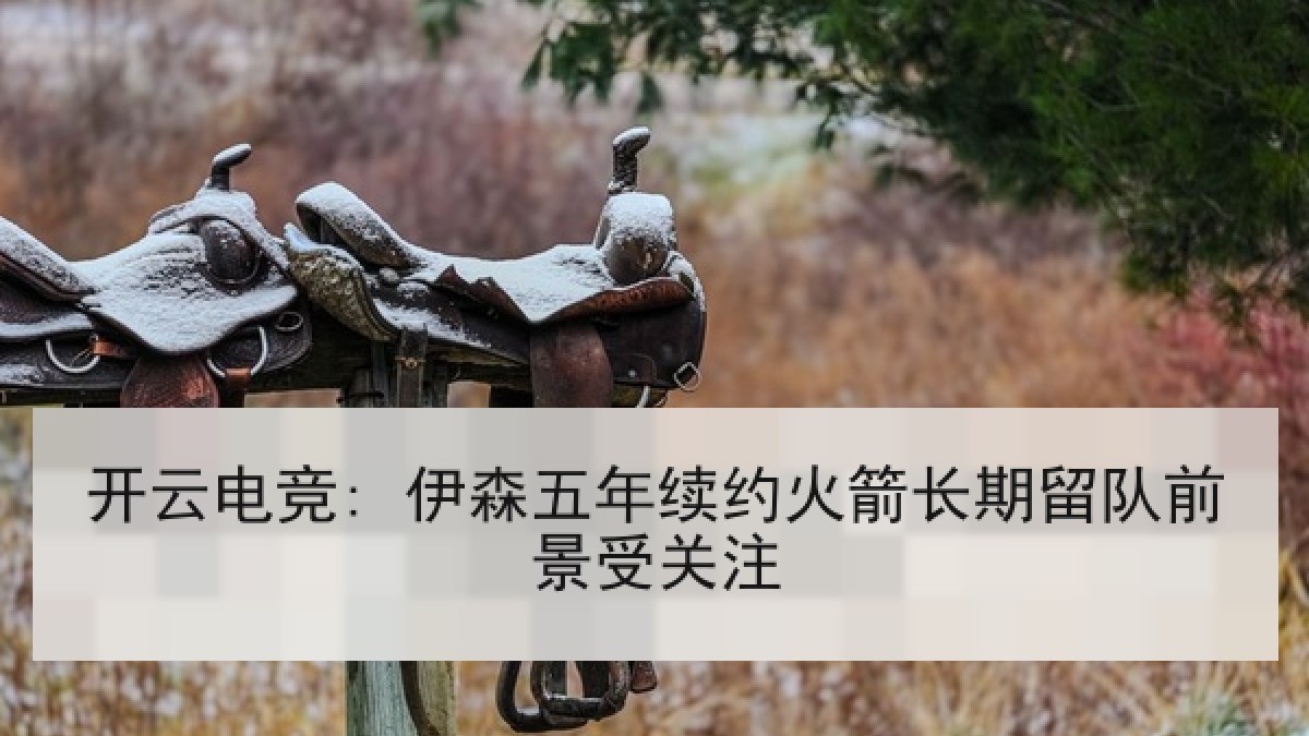 开云电竞: 伊森五年续约火箭长期留队前景受关注 开云电竞: 伊森五年续约火箭长期留队前景受关注