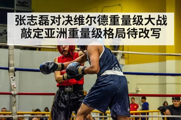 张志磊对决维尔德重量级大战敲定亚洲重量级格局待改写
